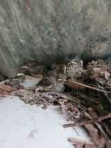 팜모닝 자유주제·자유게시판 게시글 이미지