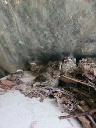 박기식 님의 자유주제 · 자유게시판 작성글 사진