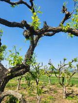 팜모닝 자유주제·자유게시판 게시글 이미지