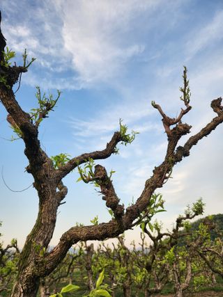 대추박님의 자유주제 · 자유게시판 작성글 사진