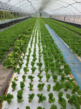 농민님의 자유주제 · 자유게시판 작성글 사진