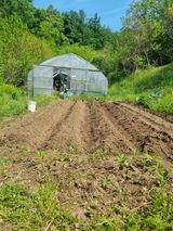 팜모닝 고추·영농일지 게시글 이미지