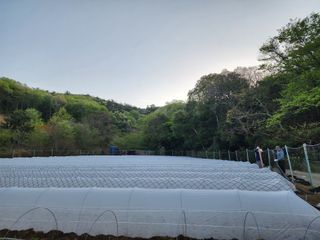 고추농사 정 미라님의 자유주제 · 자유게시판 작성글 사진