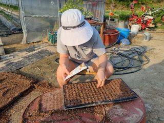 박덕환님의 참깨 · 영농일지 작성글 사진