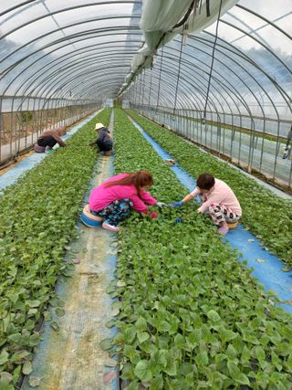 농민님의 자유주제 · 자유게시판 작성글 사진