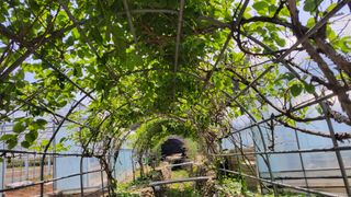 대파16548님의 자유주제 · 자유게시판 작성글 사진