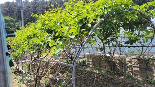 대파16548님의 자유주제 · 자유게시판 작성글 사진