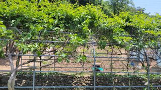 대파16548님의 자유주제 · 자유게시판 작성글 사진