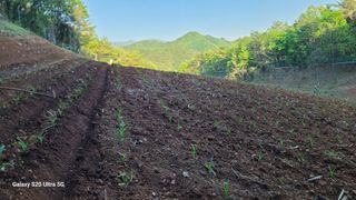 영월산지기148님의 자유주제 · 자유게시판 작성글 사진