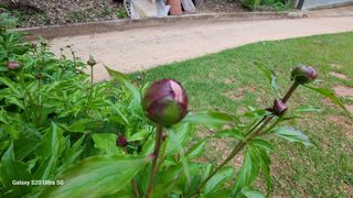 영월산지기148님의 자유주제 · 자유게시판 작성글 사진