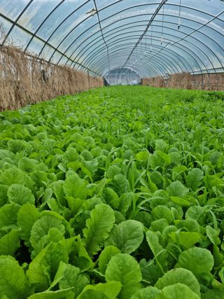 오태원님의 5월 농사계획 공유하기 · 참여글 작성글 사진