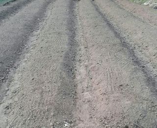 정보센터님의 기타작물 · 자유게시판 작성글 사진