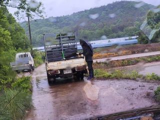 백화산지킴이산야초님의 벼 · 자유게시판 작성글 사진