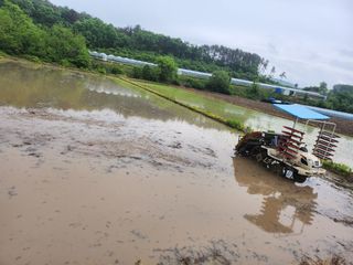 백화산지킴이산야초님의 벼 · 자유게시판 작성글 사진