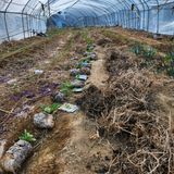 팜모닝 5월 농사계획 공유하기·참여글 게시글 이미지