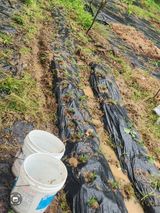 팜모닝 5월 농사계획 공유하기·참여글 게시글 이미지