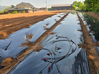 화니네농장님의 5월 농사계획 공유하기 · 참여글 작성글 사진