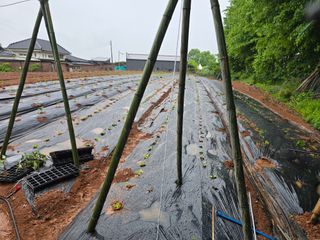 화니네농장님의 5월 농사계획 공유하기 · 참여글 작성글 사진