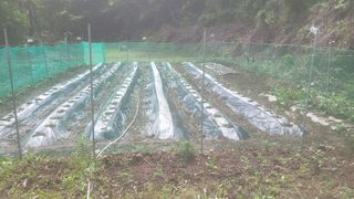 몽실농장님의 자유주제 · 자유게시판 작성글 사진