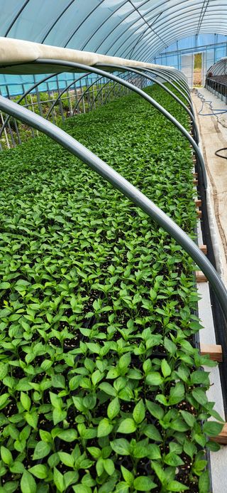 김진동님의 5월 농사계획 공유하기 · 참여글 작성글 사진