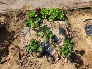 장인호님의 자유주제 · 자유게시판 작성글 사진