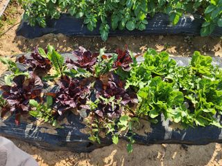 장인호님의 자유주제 · 자유게시판 작성글 사진