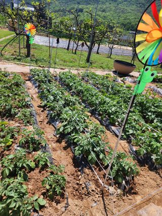 장인호님의 자유주제 · 자유게시판 작성글 사진