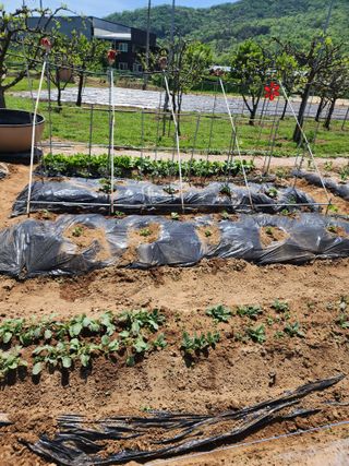 장인호님의 자유주제 · 자유게시판 작성글 사진