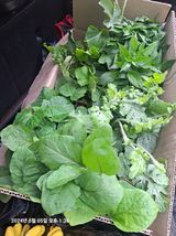 팜모닝 자유주제·자유게시판 게시글 이미지