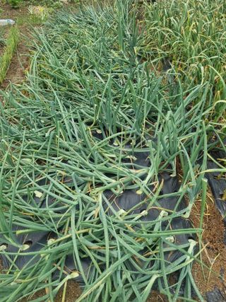 영애님의 자유주제 · 자유게시판 작성글 사진