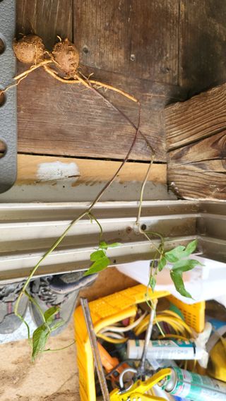 마늘10202님의 자유주제 · 자유게시판 작성글 사진