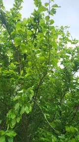 팜모닝 자유주제·자유게시판 게시글 이미지