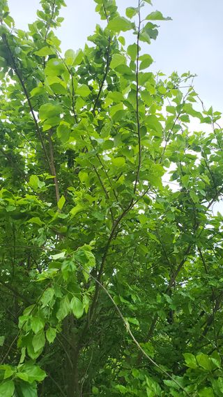 마늘10202님의 자유주제 · 자유게시판 작성글 사진