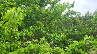 마늘10202님의 자유주제 · 자유게시판 작성글 사진