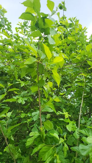 마늘10202님의 자유주제 · 자유게시판 작성글 사진