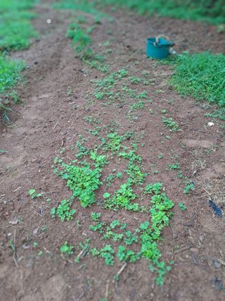 곽해영님의 자유주제 · 자유게시판 작성글 사진