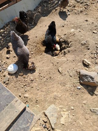 전희분님의 자유주제 · 칭찬해요 작성글 사진