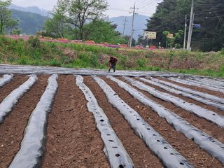 홍천.서석.안민기님의 자유주제 · 자유게시판 작성글 사진
