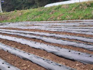 홍천.서석.안민기님의 자유주제 · 자유게시판 작성글 사진