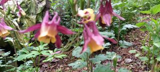 사과15865김도화님의 자유주제 · 사진전 작성글 사진