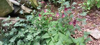 사과15865김도화님의 자유주제 · 사진전 작성글 사진