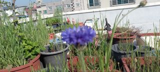 사과15865김도화님의 자유주제 · 사진전 작성글 사진