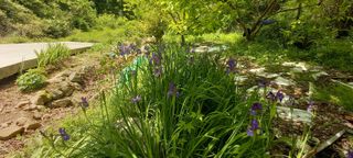 사과15865김도화님의 자유주제 · 사진전 작성글 사진