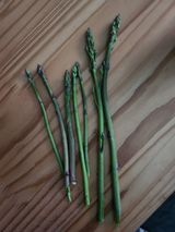 팜모닝 자유주제·사진전 게시글 이미지