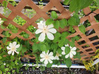 이민희님의 자유주제 · 사진전 작성글 사진