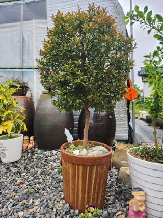 이민희님의 자유주제 · 사진전 작성글 사진