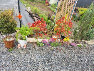 이민희님의 자유주제 · 사진전 작성글 사진