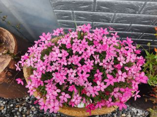 이민희님의 자유주제 · 사진전 작성글 사진