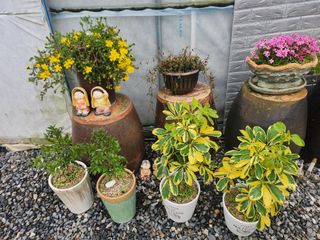 이민희님의 자유주제 · 사진전 작성글 사진