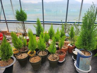 이민희님의 자유주제 · 사진전 작성글 사진